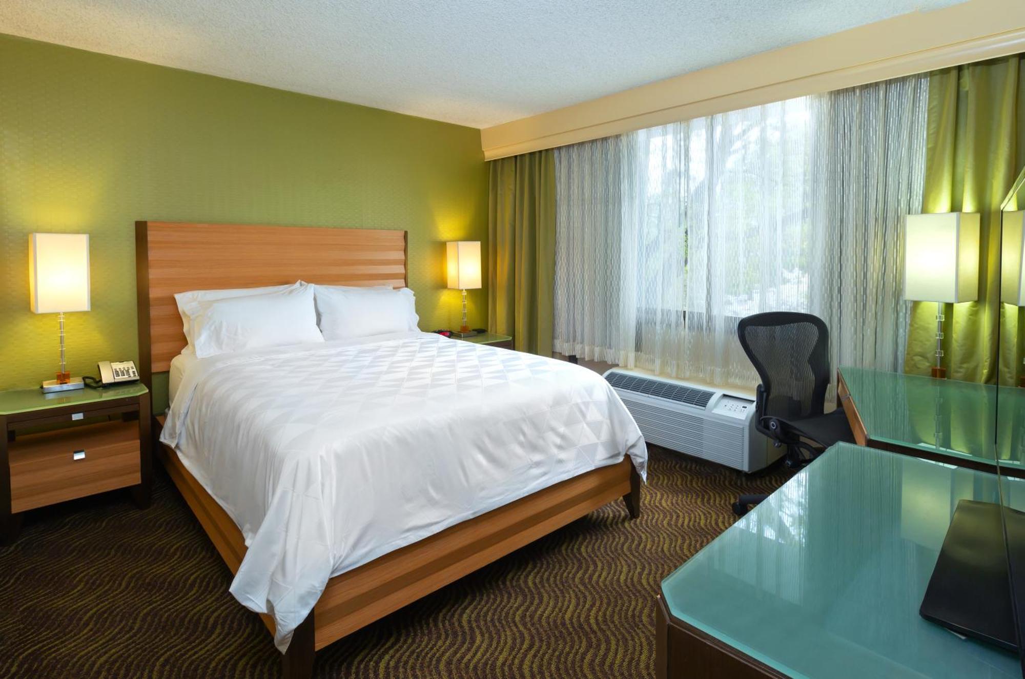 Premium King Room Sofa Bed,1434778399:JPEG